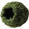Galapagos Mossy Cave Reptile & Amphibian Terrarium Accessory