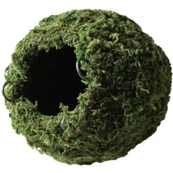 Galapagos Mossy Cave Reptile & Amphibian Terrarium Accessory