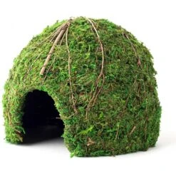 Galapagos Mossy Dome Reptile & Amphibian Terrarium Accessory, Fresh Green