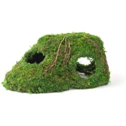Galapagos Sapa Corner Hideout Reptile Terrarium Accessory, Fresh Green