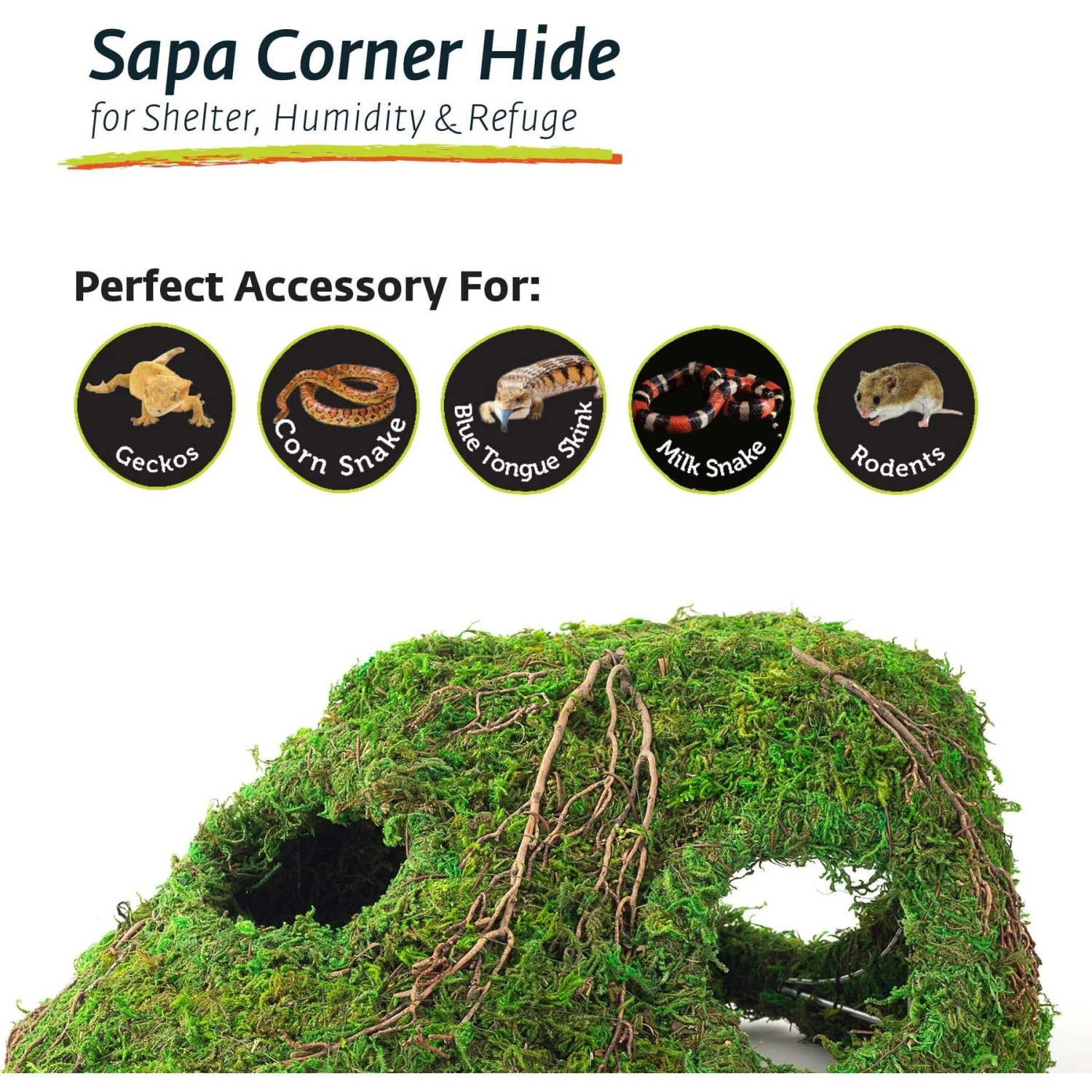 Galapagos Sapa Corner Hideout Reptile Terrarium Accessory, Fresh Green - Image 7