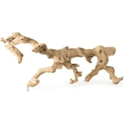 Galapagos Walking Wood Grapevine Branch Reptile Terrarium Accessory, 19-24-in