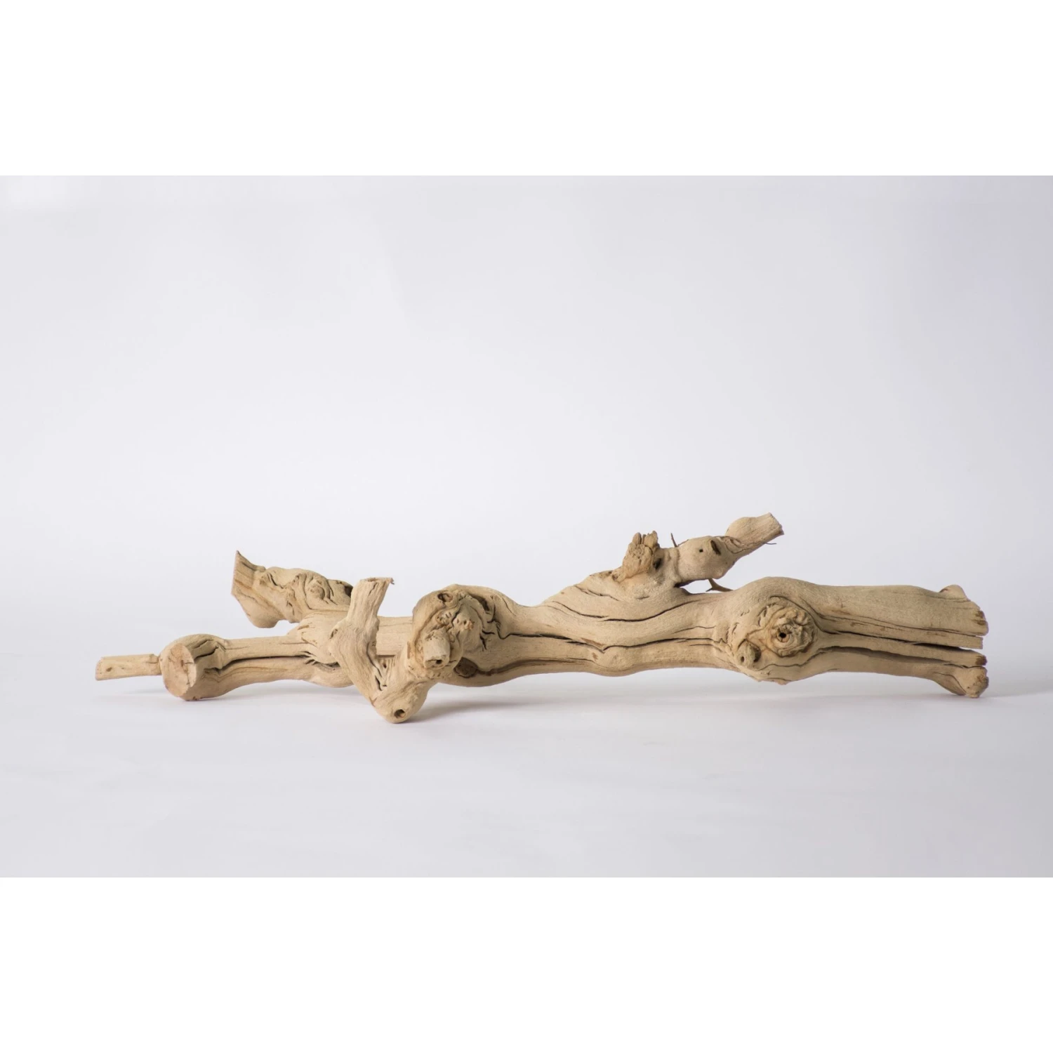 Galapagos Walking Wood Grapevine Branch Reptile Terrarium Accessory, 19-24-in - Image 5