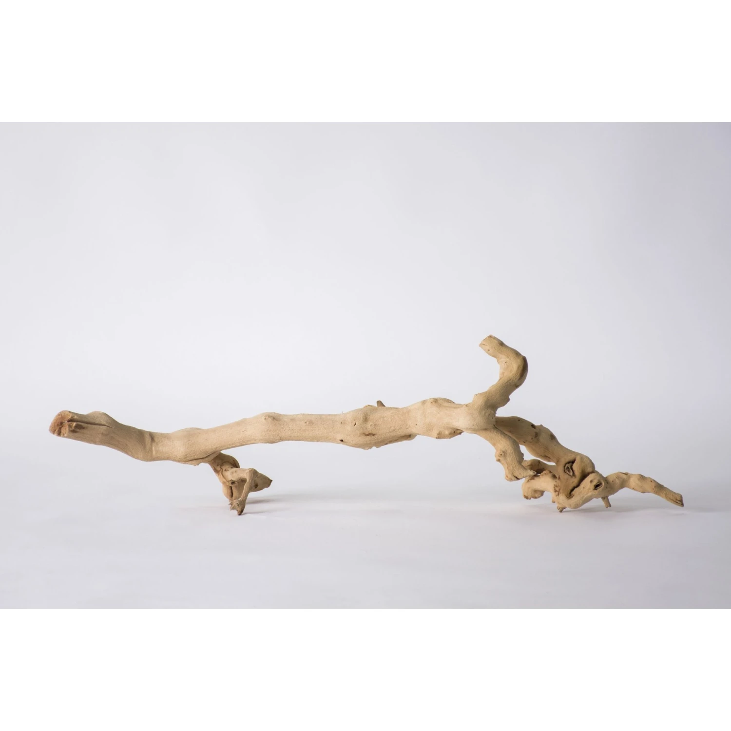 Galapagos Walking Wood Grapevine Branch Reptile Terrarium Accessory, 19-24-in - Image 6