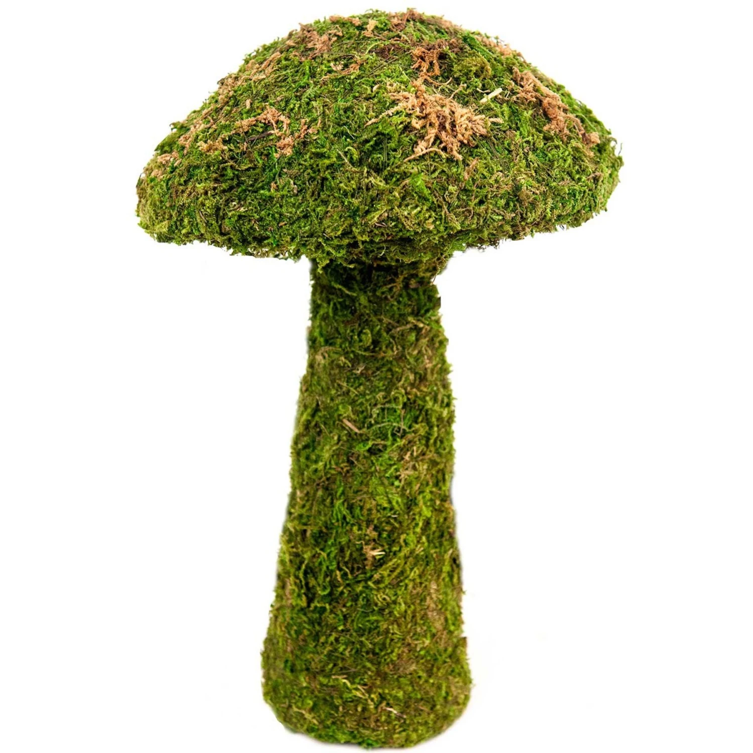 Galapagos Moss Mushroom Reptile & Amphibian Terrarium Accessory, Fresh Green