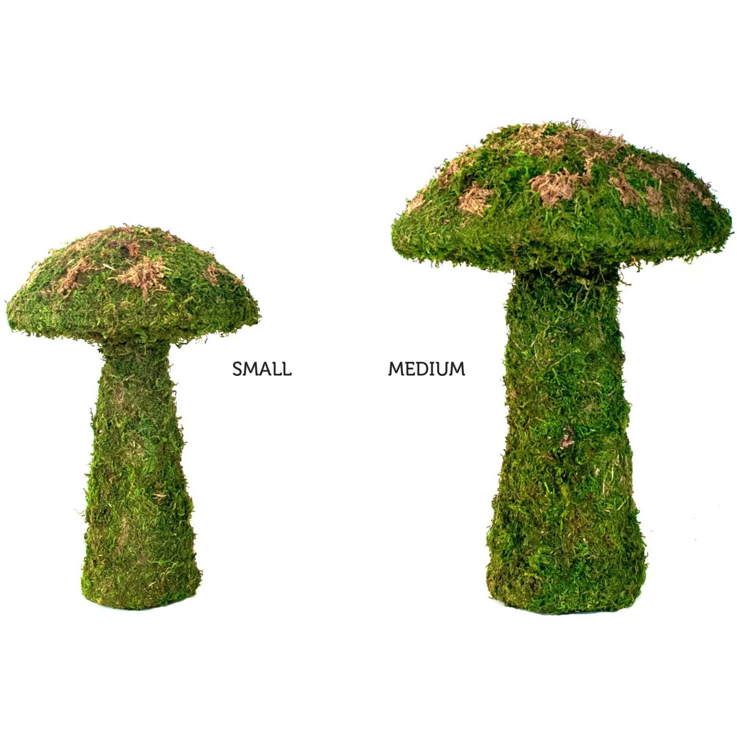 Galapagos Moss Mushroom Reptile & Amphibian Terrarium Accessory, Fresh Green - Image 2