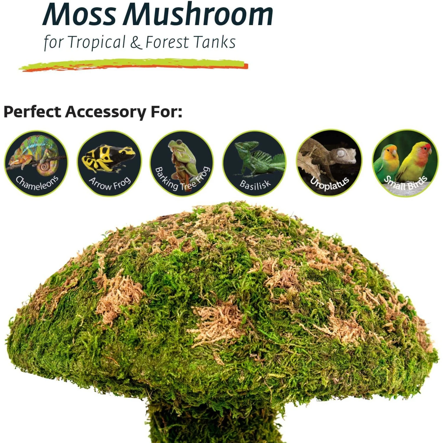 Galapagos Moss Mushroom Reptile & Amphibian Terrarium Accessory, Fresh Green - Image 4