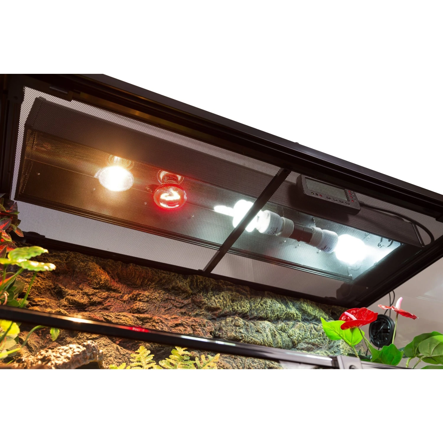 TRIXIE Glass Reptile Terrarium - Image 3