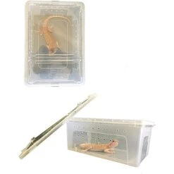 Symton Reptile Structure Reptihome Plastic Reptile Terrarium