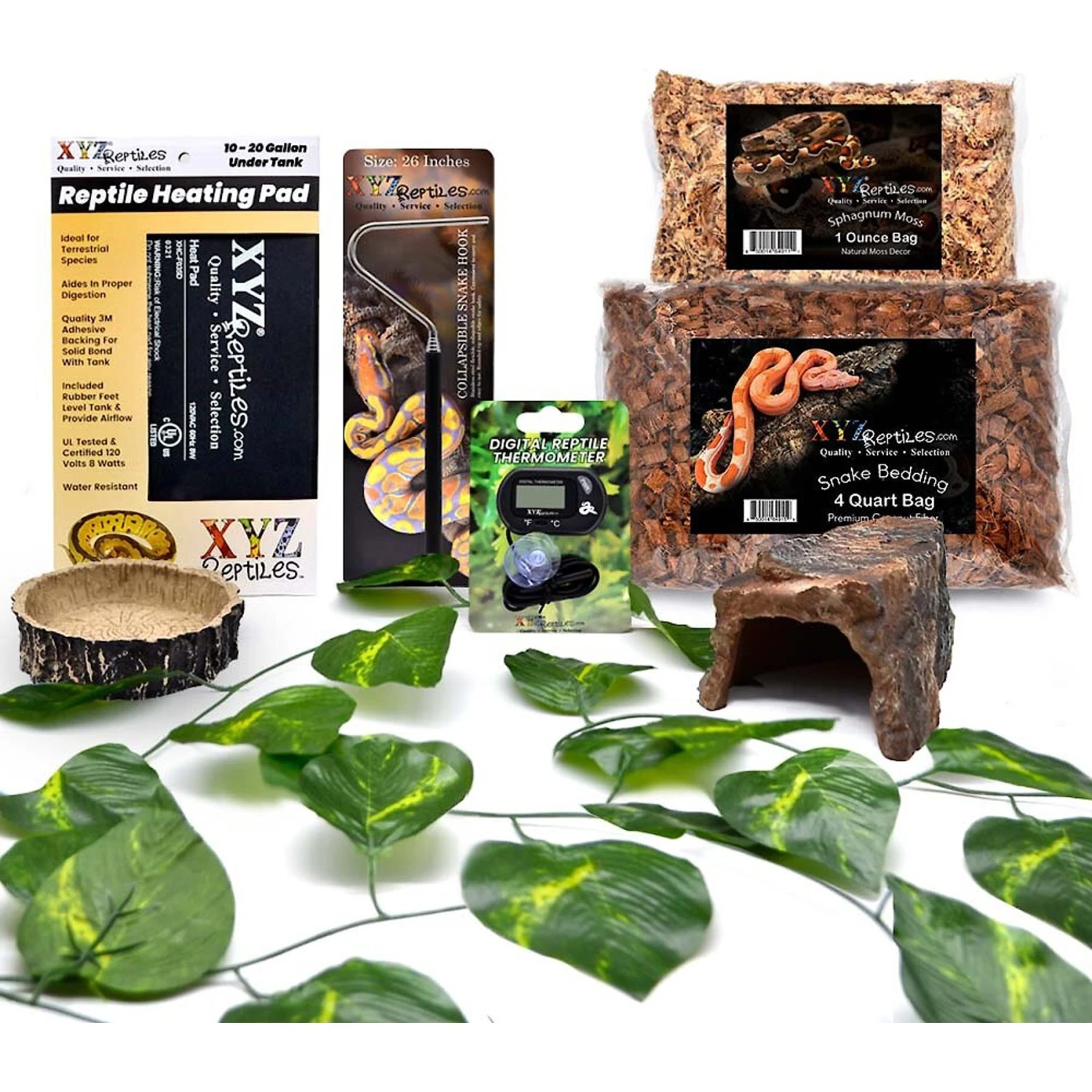 XYZReptiles Boa Constrictor Reptile Starter Kit