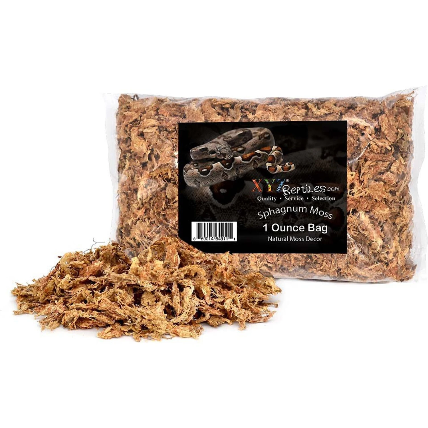 XYZReptiles Boa Constrictor Reptile Starter Kit - Image 6
