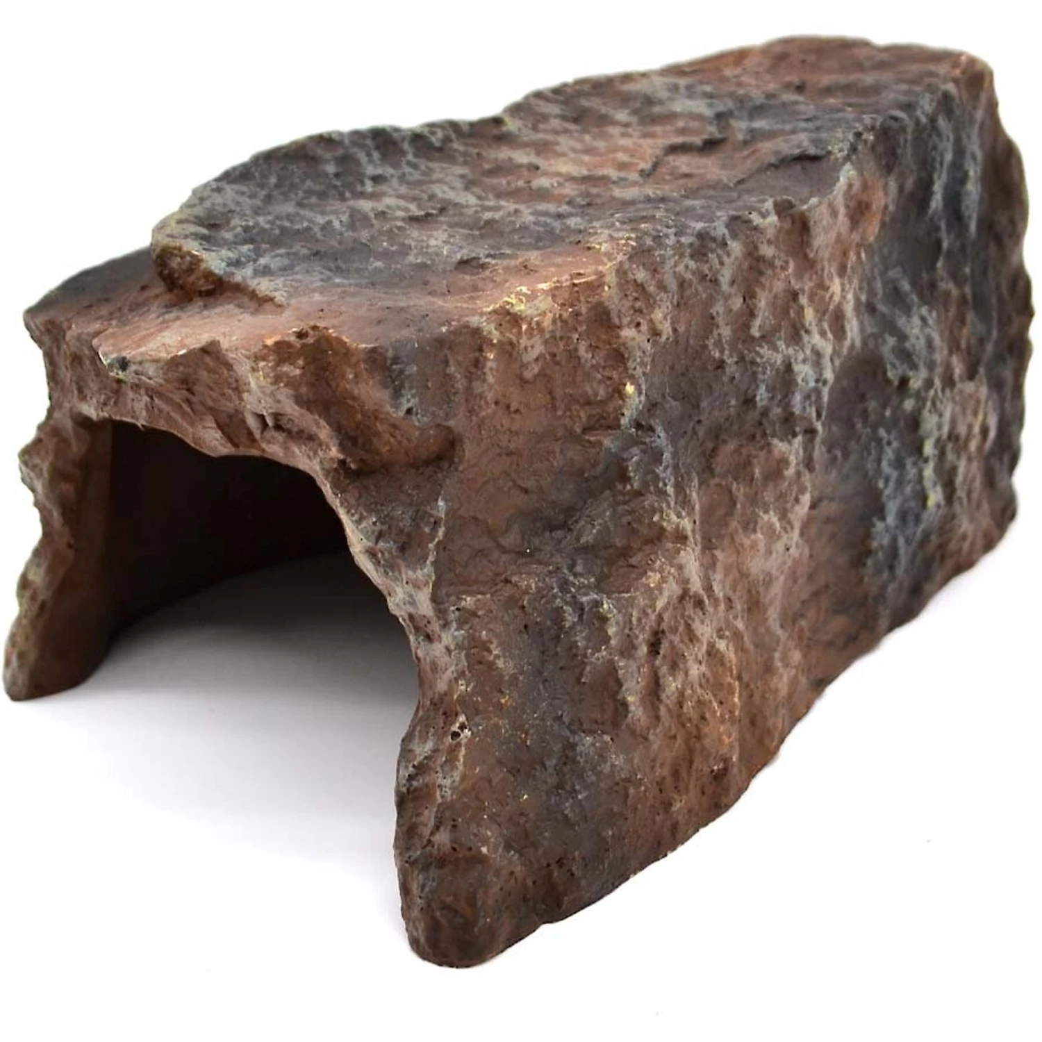 XYZReptiles Boa Constrictor Reptile Starter Kit - Image 7