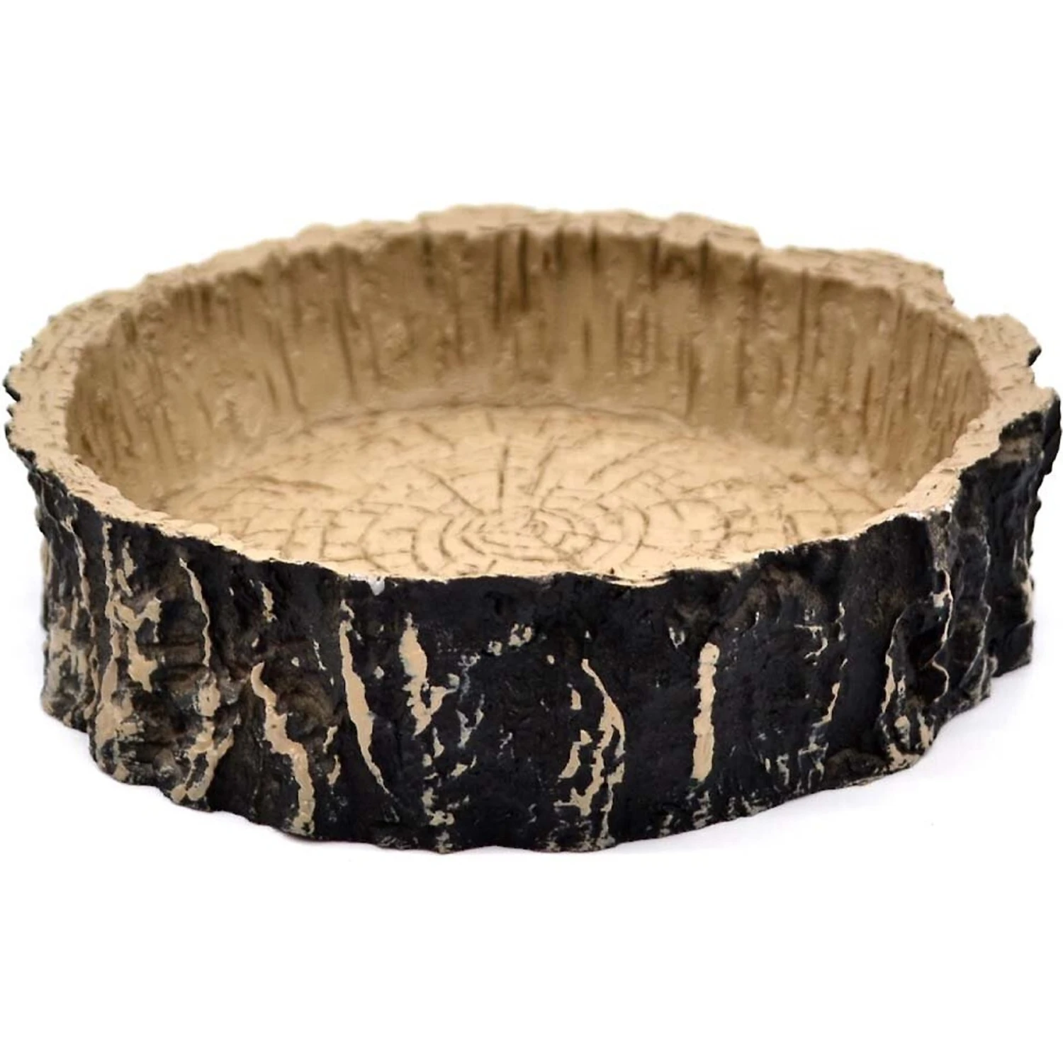 XYZReptiles Boa Constrictor Reptile Starter Kit - Image 8