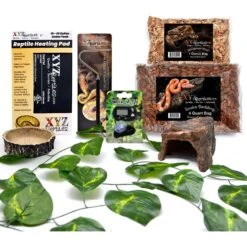 XYZReptiles Snake Habitat Starter Kit