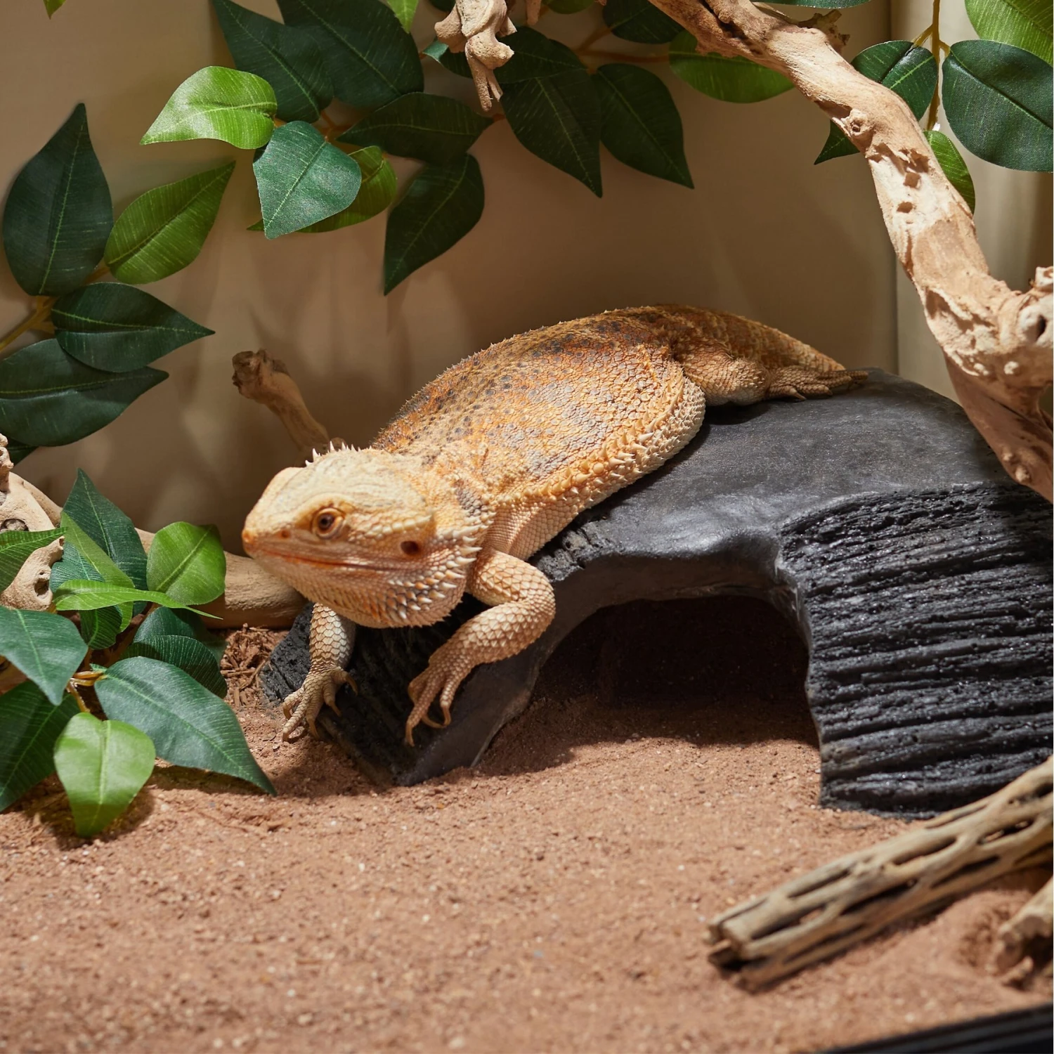 CC Pet Slate Reptile Basking Ramp - Image 3