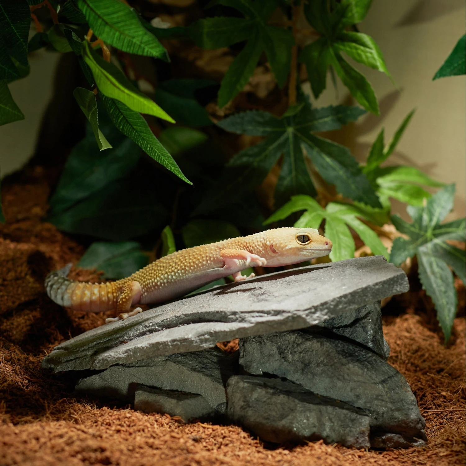 CC Pet Basking Ramp Reptile Hide - Image 3