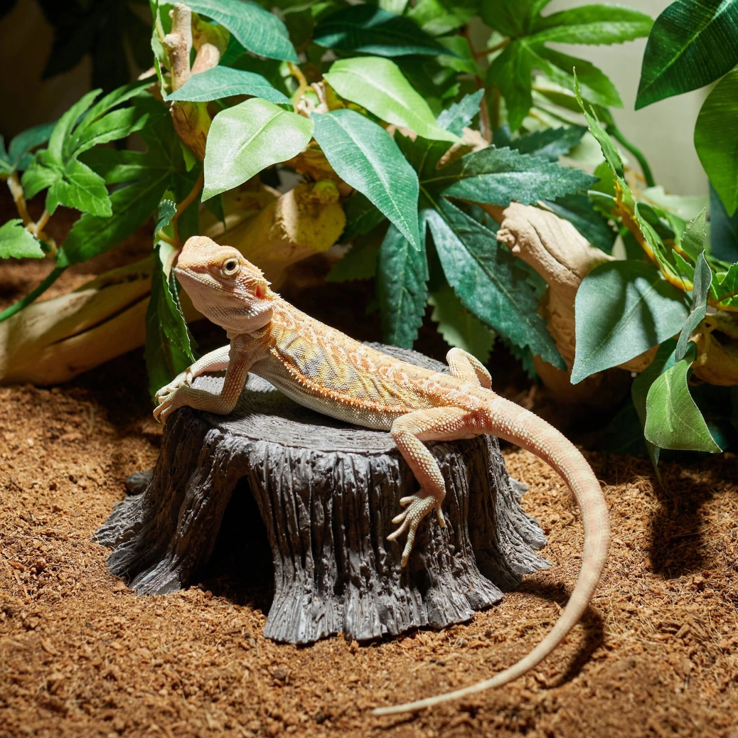 CC Pet Tree Stump Reptile Hide, Small - Image 3