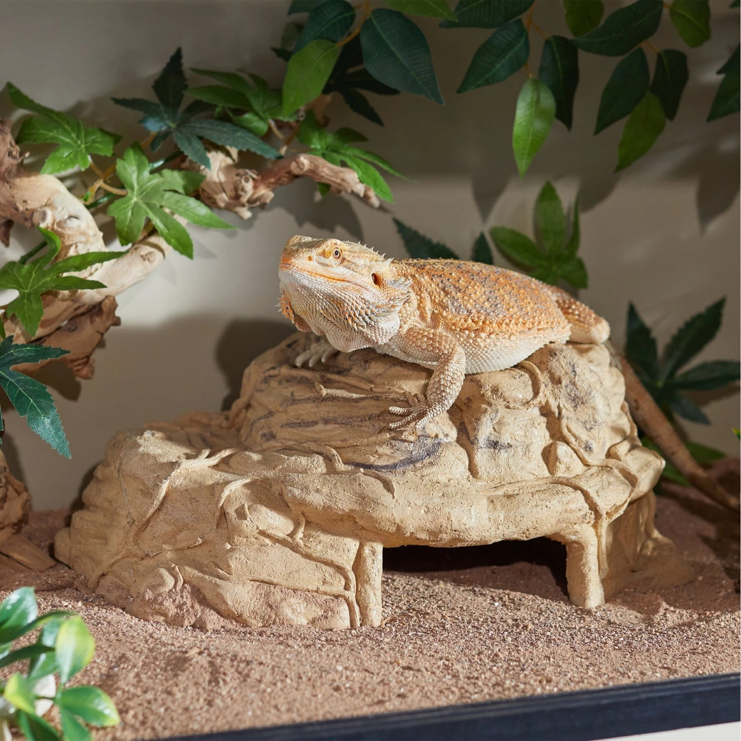 CC Pet Vine Cave Reptile Hide, X-Large - Image 3