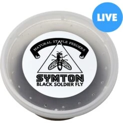 Symton Small Live Black Soldier Fly Larvae Lizard Food