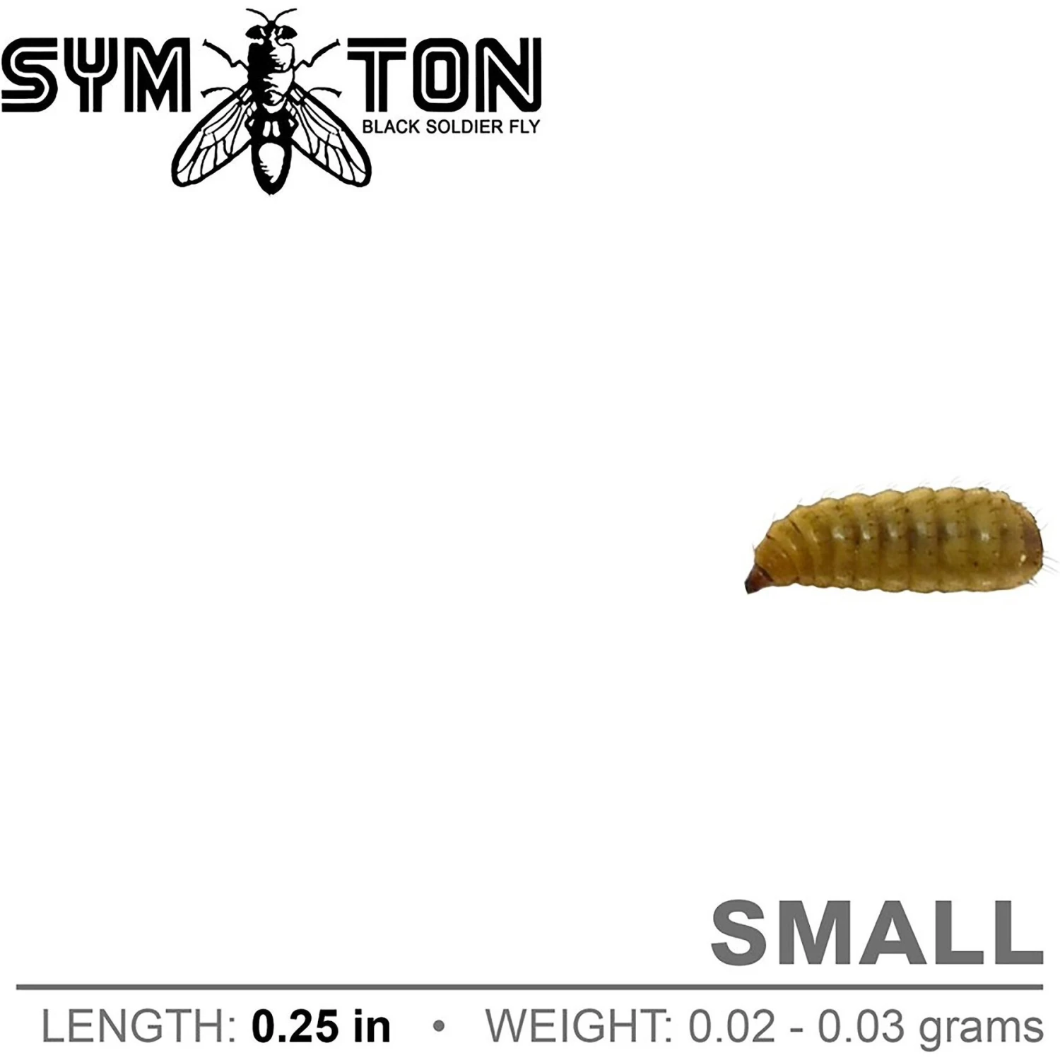 Symton Small Live Black Soldier Fly Larvae Lizard Food - Image 4