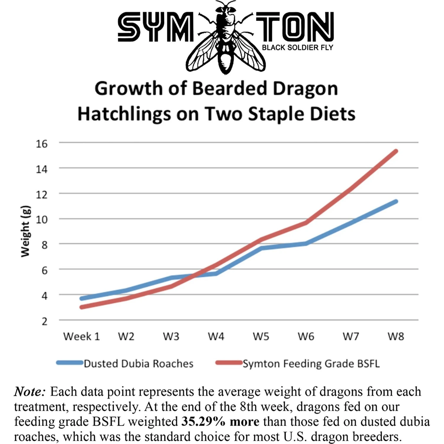 Symton Medium Live Black Soldier Fly Larvae Lizard Food - Image 3