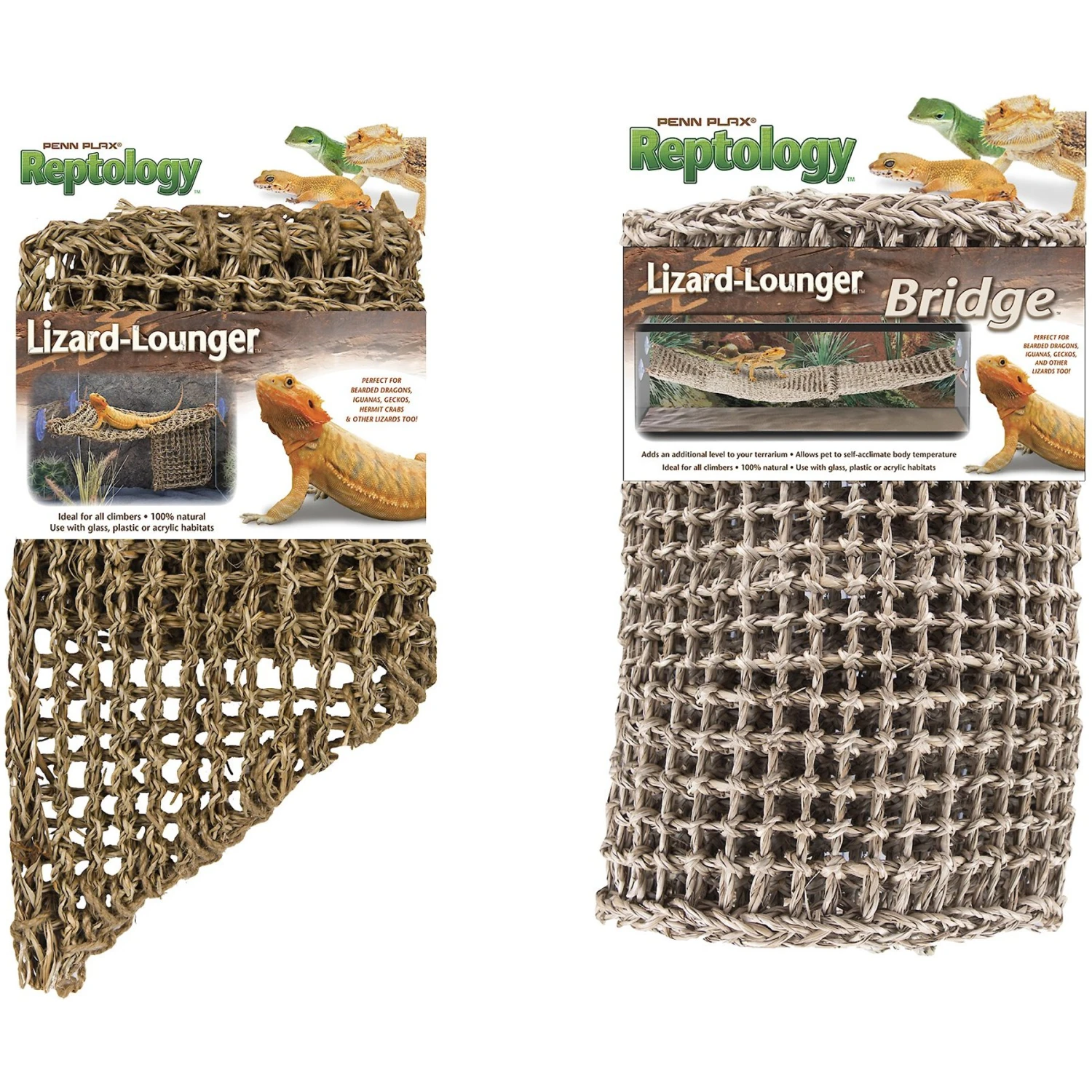 Penn-Plax Reptology Lizard Lounger Bundle, 2 Piece
