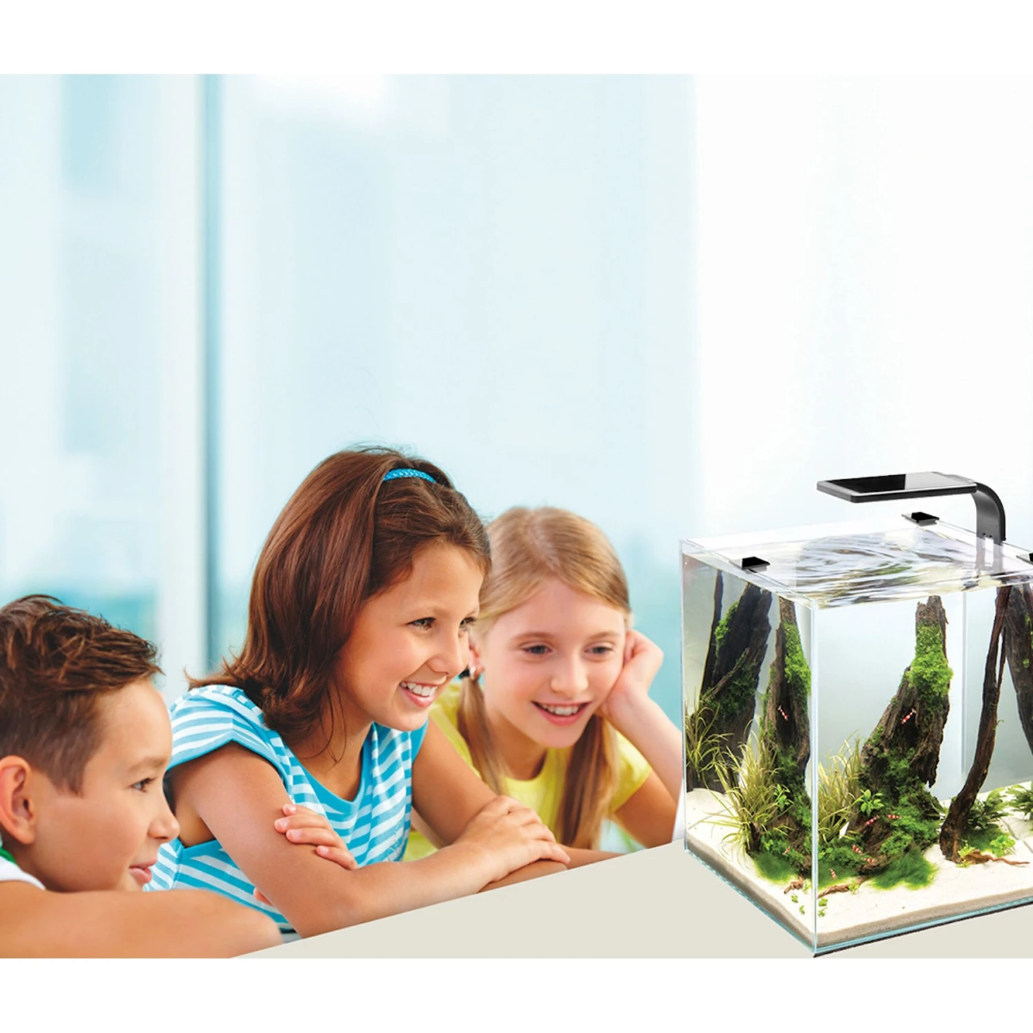 Cobalt Aquatics Microvue Aquarium Kit - Image 4