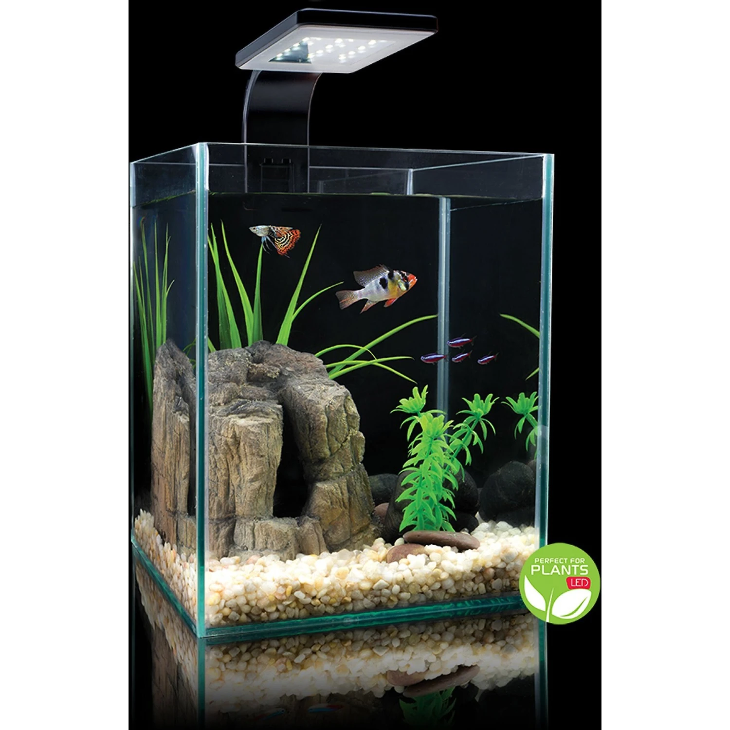 Cobalt Aquatics Microvue Aquarium Kit - Image 6