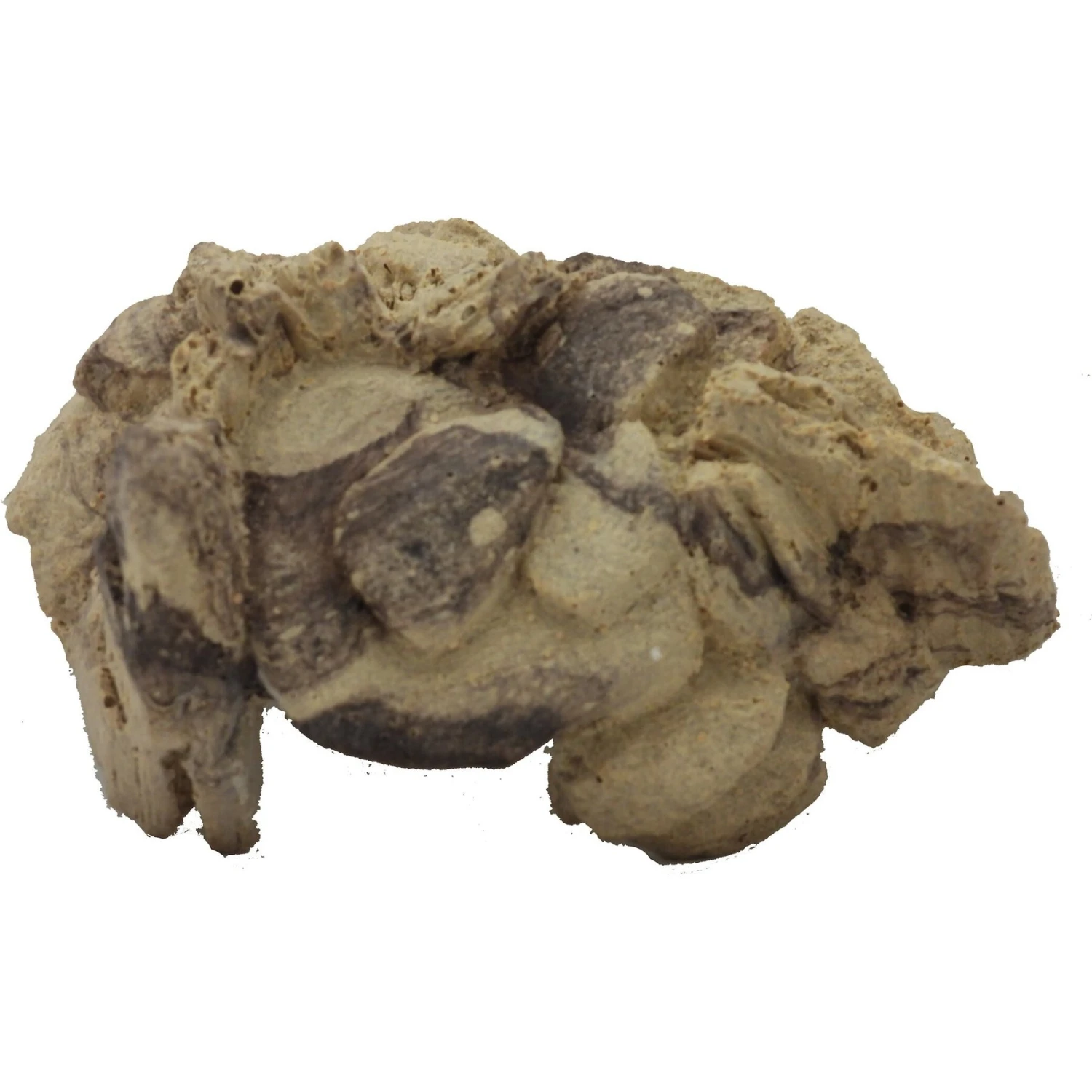 CC Pet Boulder Cave Reptile Hide, Small - Image 2