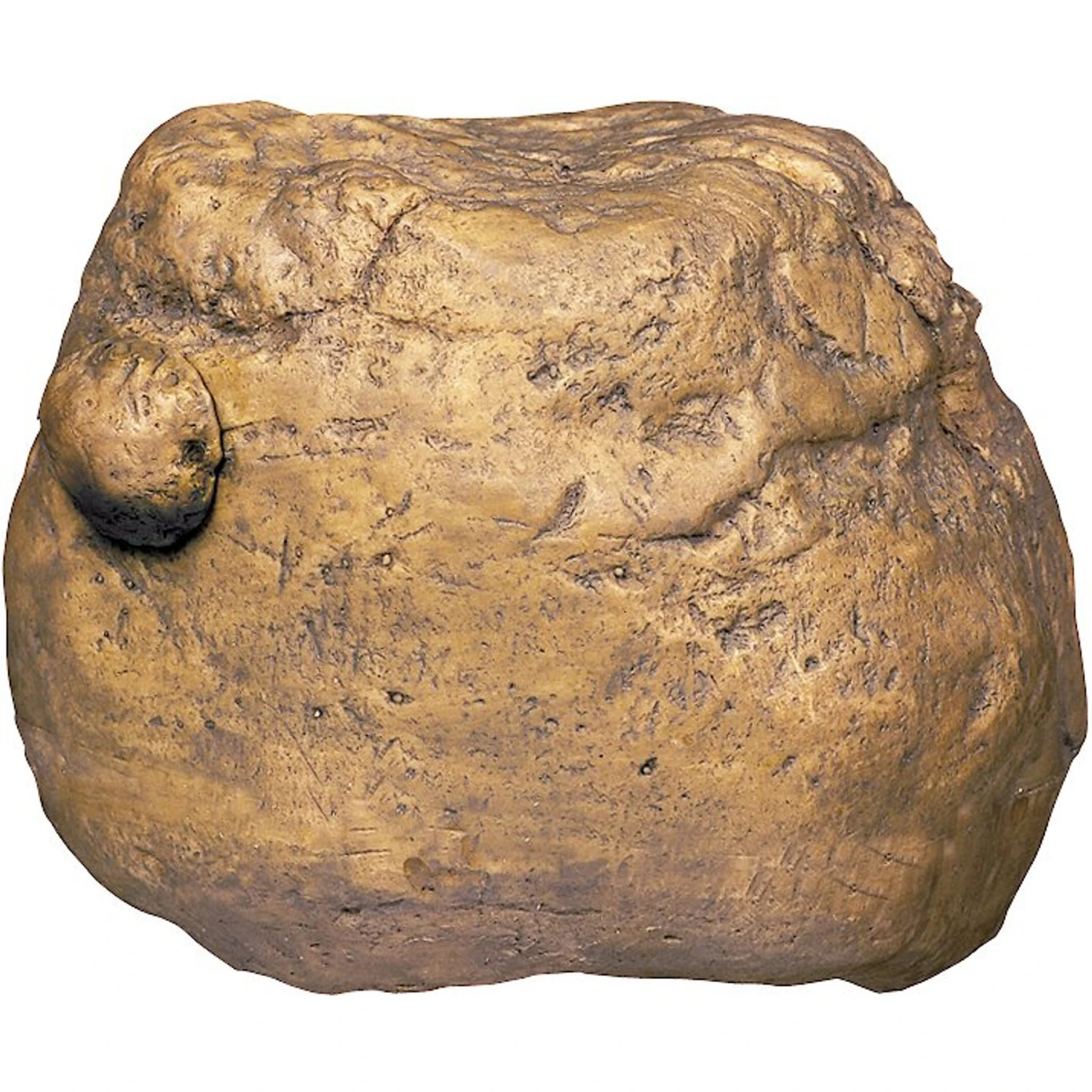 Exo Terra Cricket Feeder