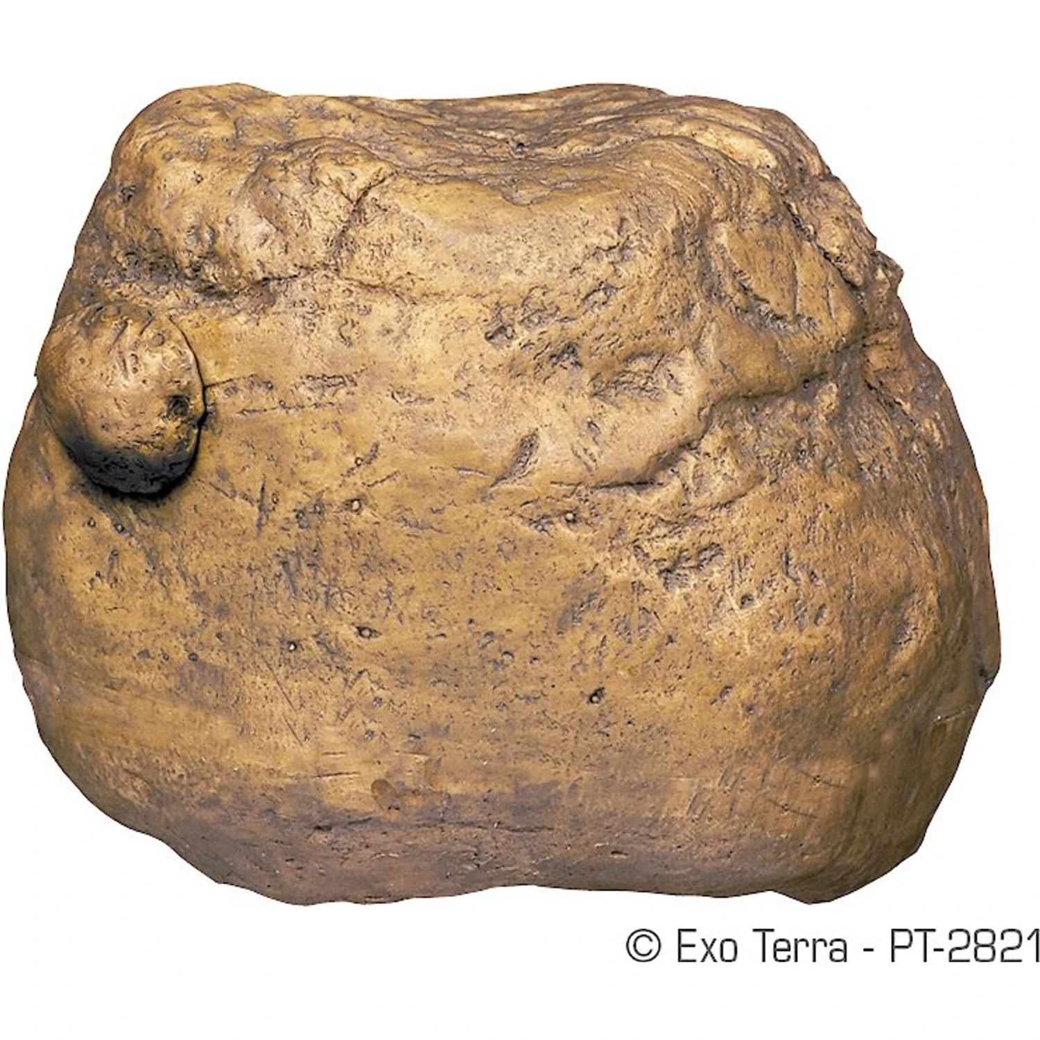 Exo Terra Cricket Feeder - Image 2