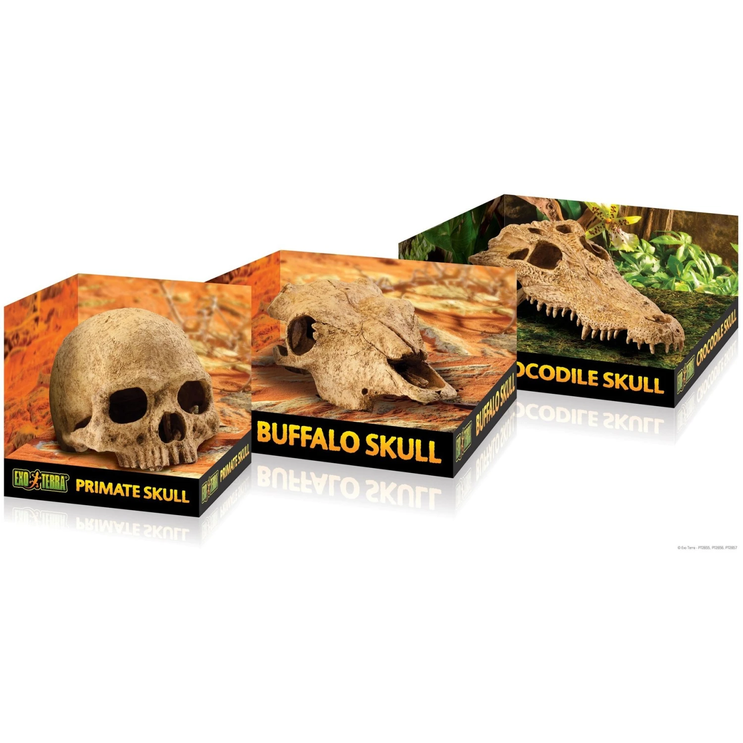 Exo Terra Buffalo Skull Terrarium Décor - Image 2