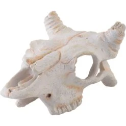 Exo Terra Buffalo Skull Reptile Hideout