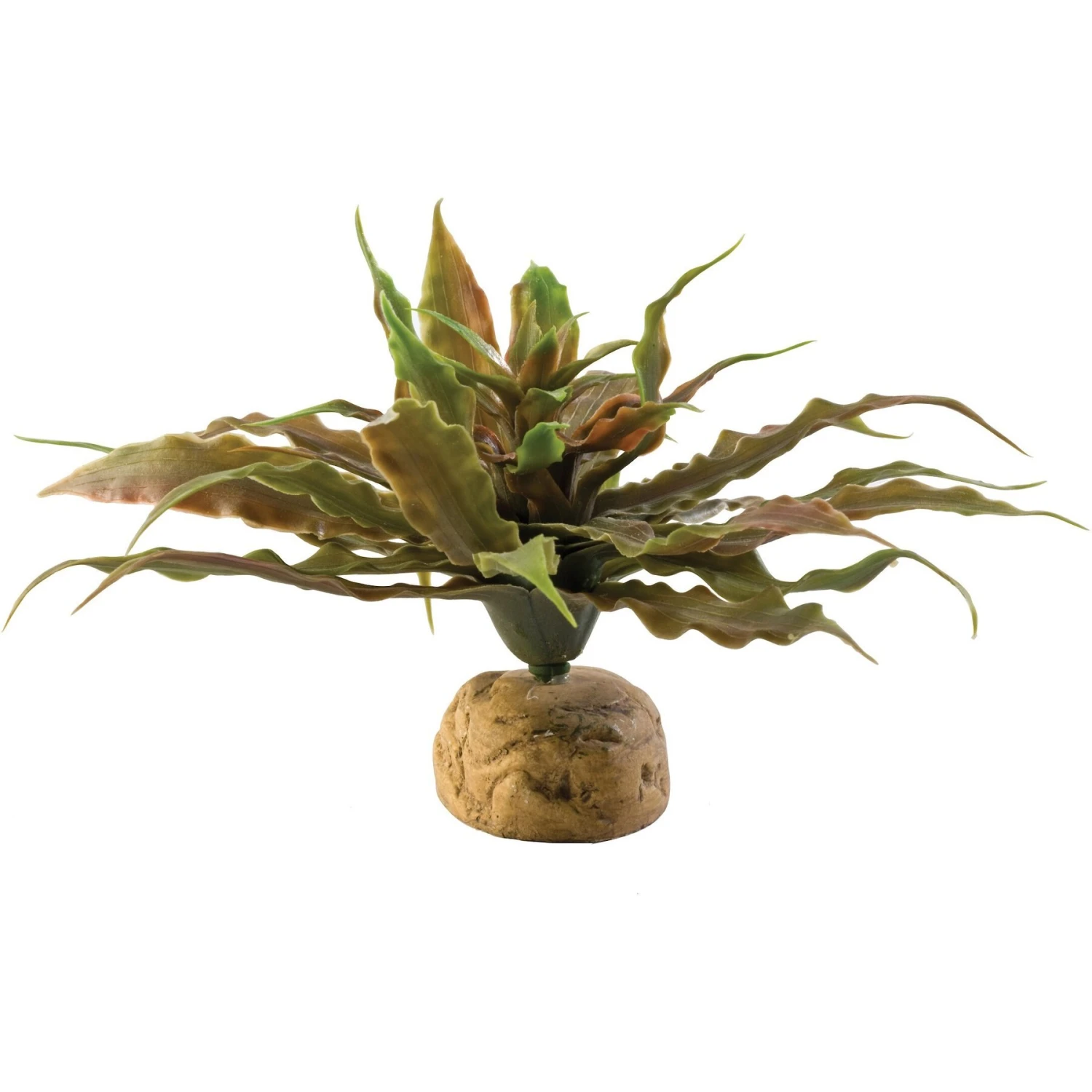 Exo Terra Star Cactus Reptile Terrarium Plant