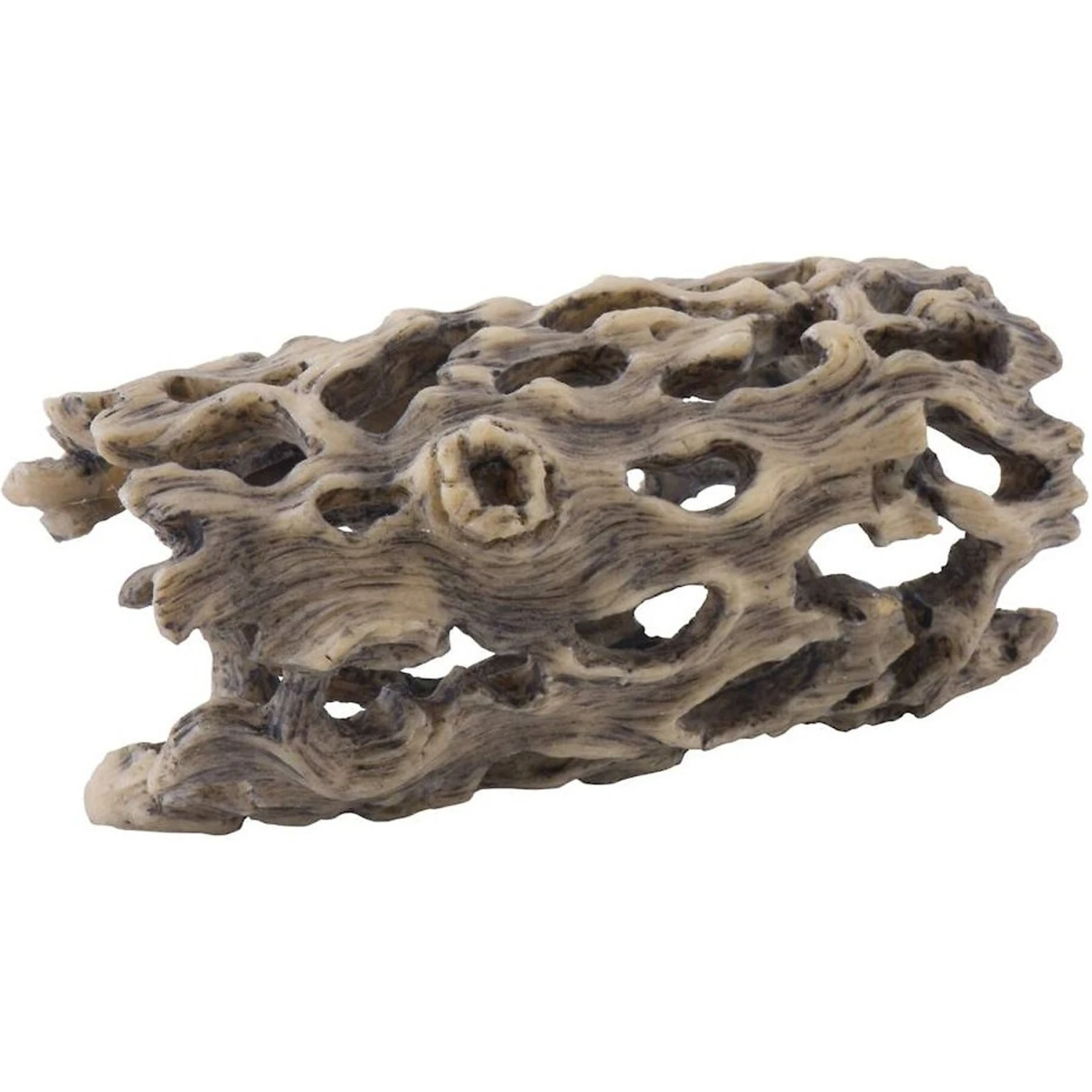 Exo Terra Cholla Cactus Skeleton Reptile Terrarium Plant