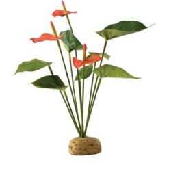 Exo Terra Anthurium Bush Reptile Terrarium Plant