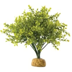 Exo Terra Boxwood Bush Reptile Terrarium Plant