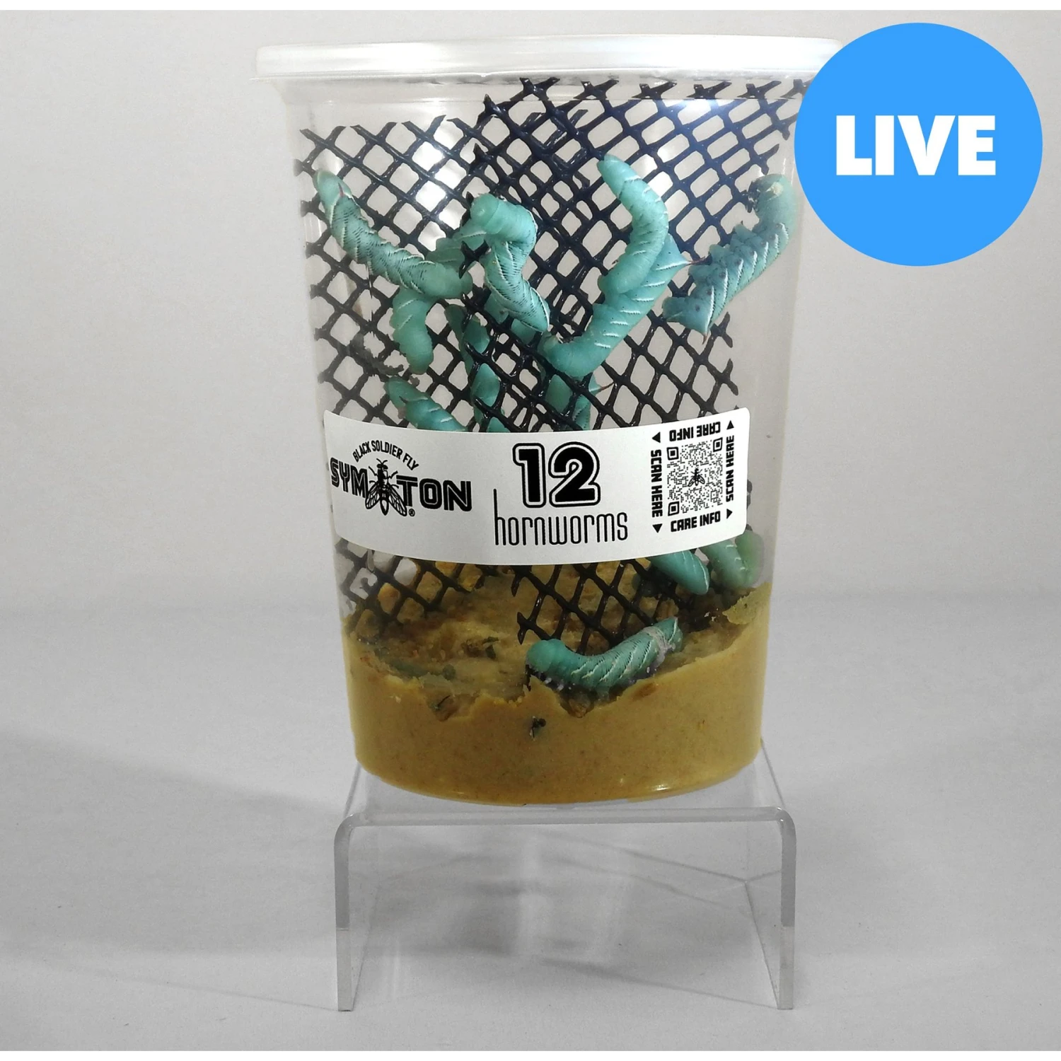 Symton Hornworms Reptile Food, 12 Count