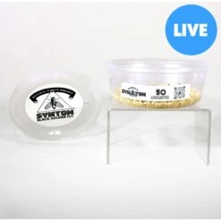 Symton Waxworms Reptile Food