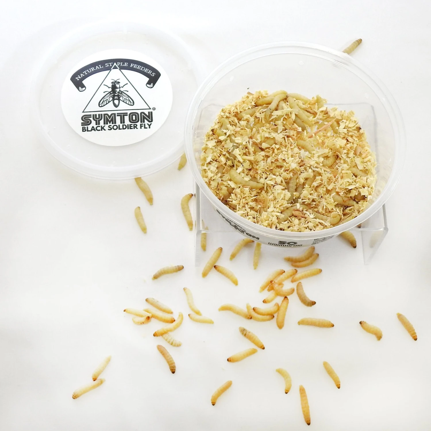 Symton Waxworms Reptile Food - Image 3