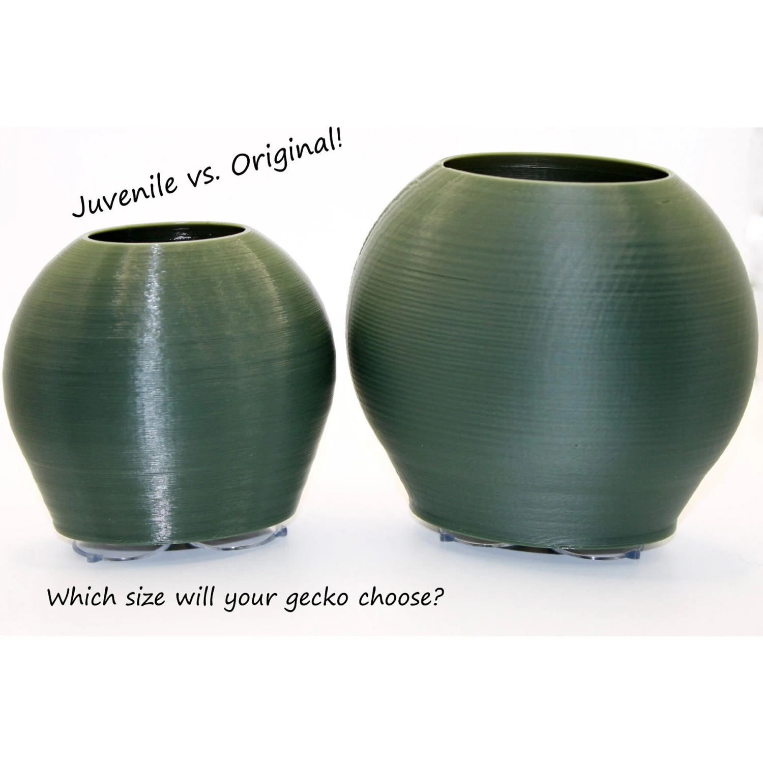 Stroodies BubbleLoft Gecko Hideout - Image 6