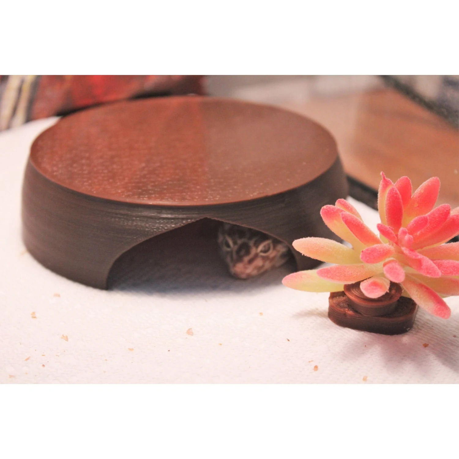 Stroodies Gecko Hut Hide