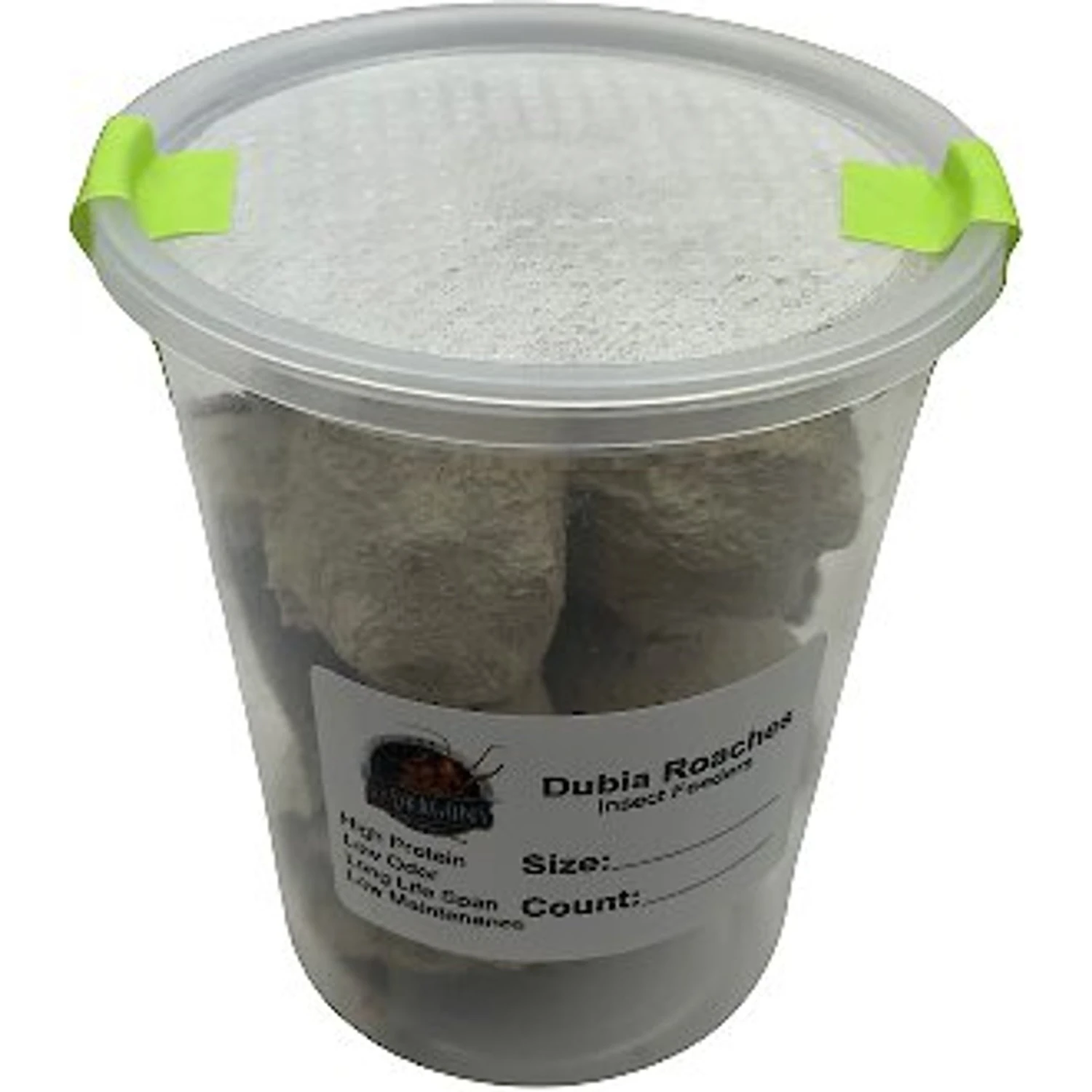 ABDragons Medium Dubia Roaches Small Pet & Reptile Food - Image 5