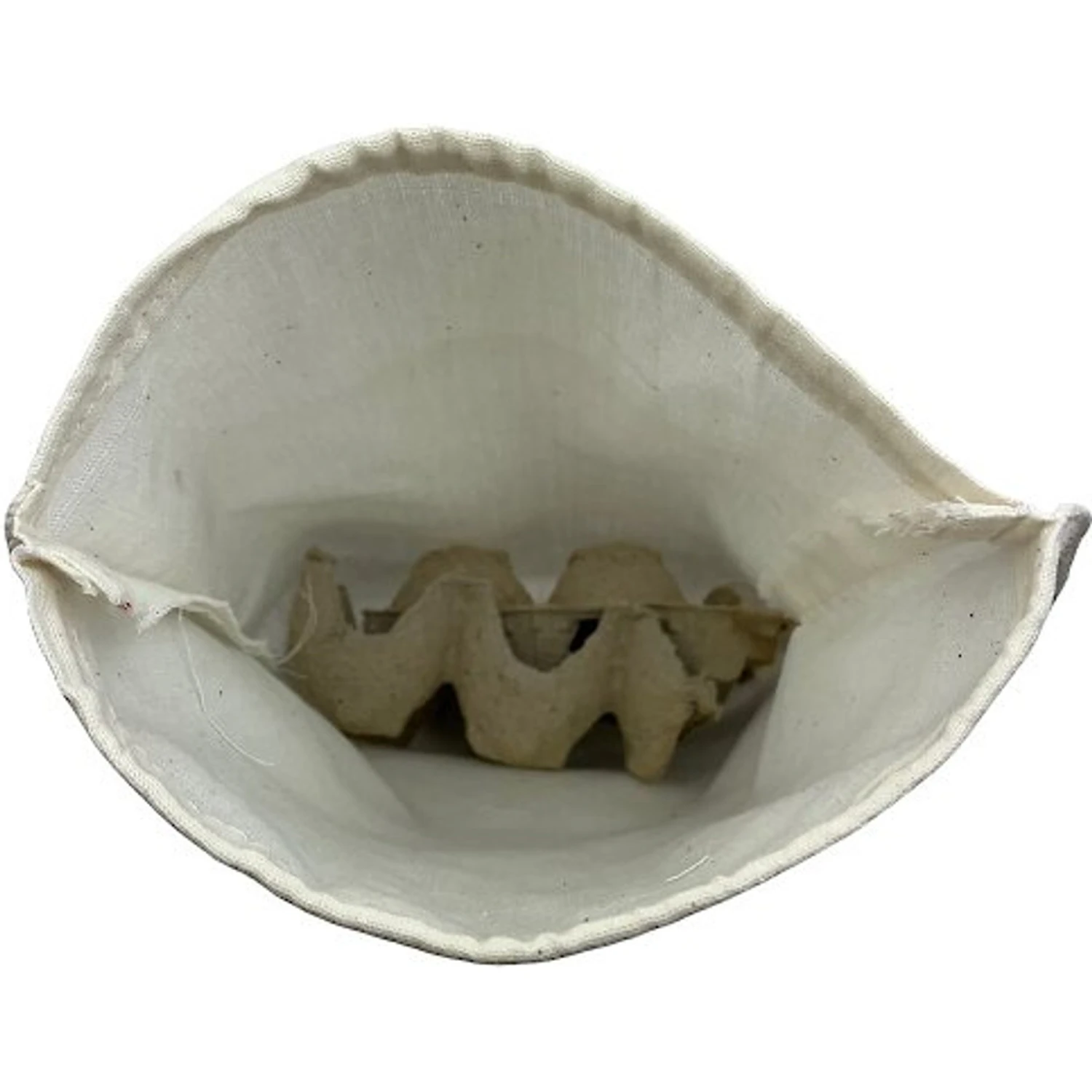 ABDragons Medium Dubia Roaches Small Pet & Reptile Food - Image 8