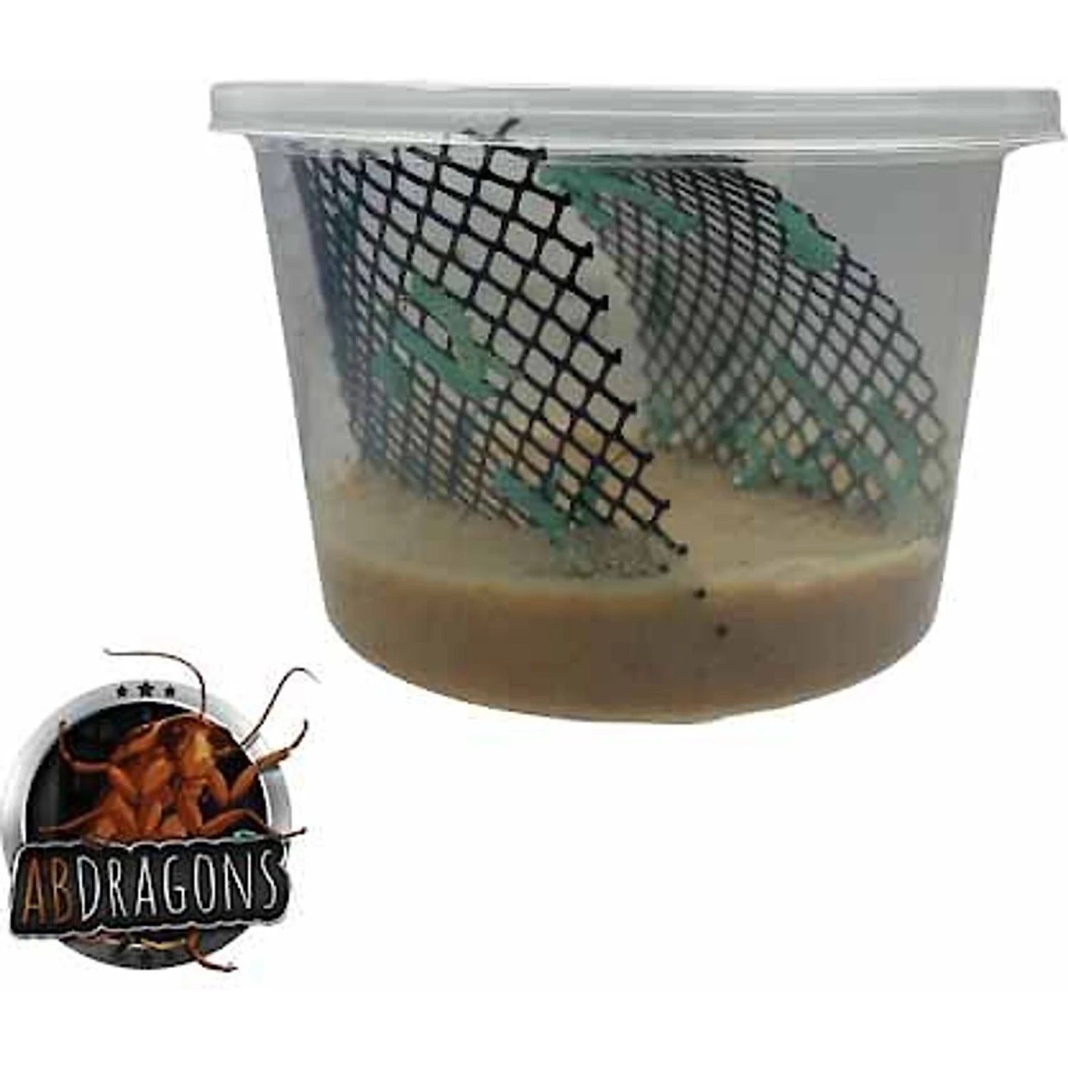 ABDragons Live Hornworms Reptile, Bird, Fish & Small Pet Food - Image 2