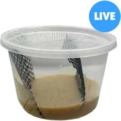 ABDragons Hornworm Food, 1-cup