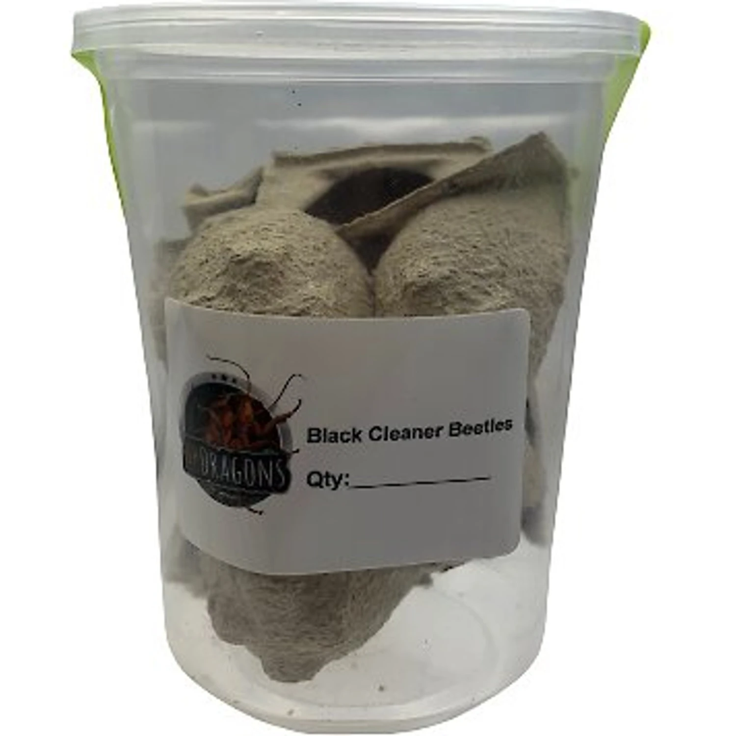 ABDragons Live Black Cleaner Beetles Small Pet & Reptile Food - Image 3