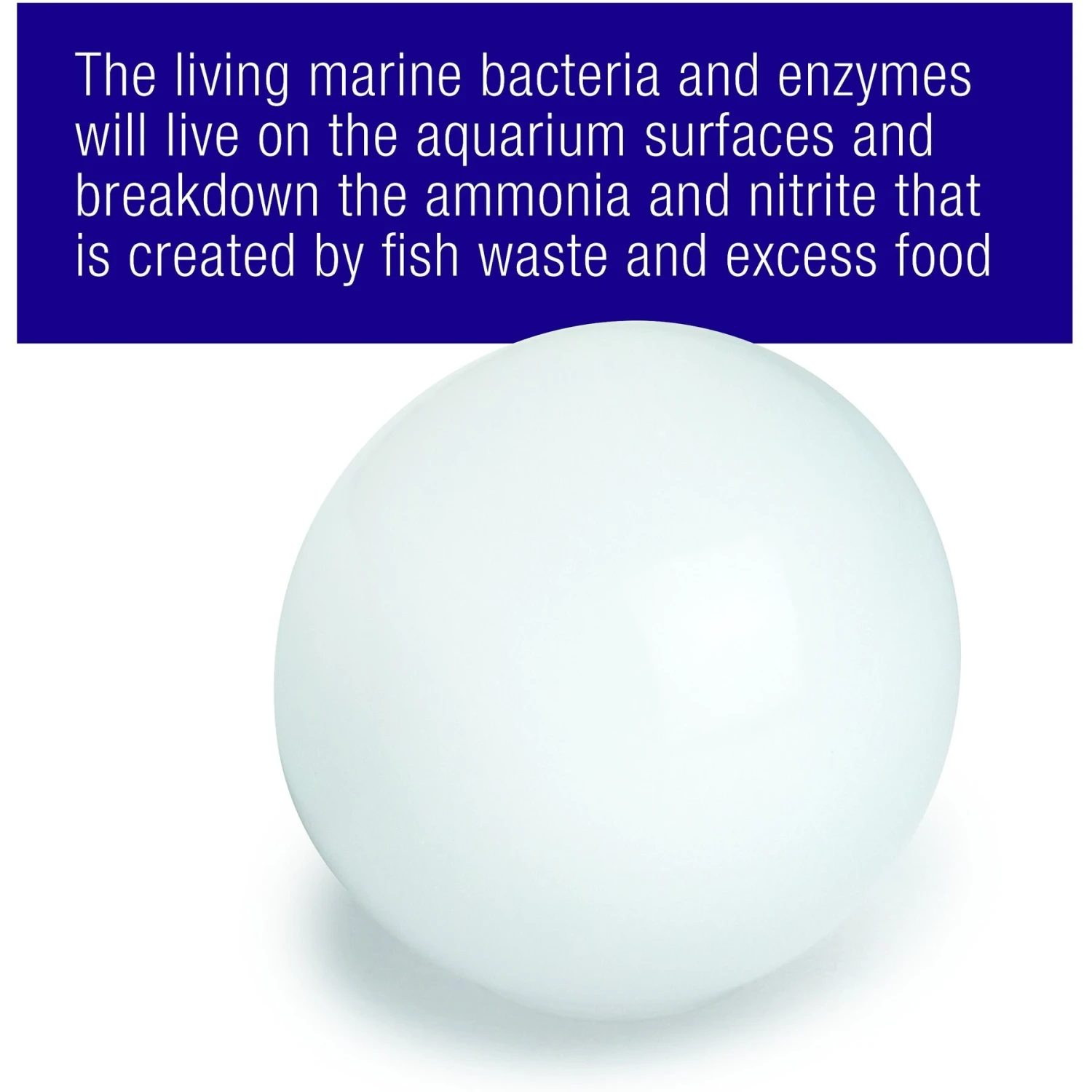 Coralife Marine PURE Water Care Bacteria Supplement, 4 Pack - Image 4