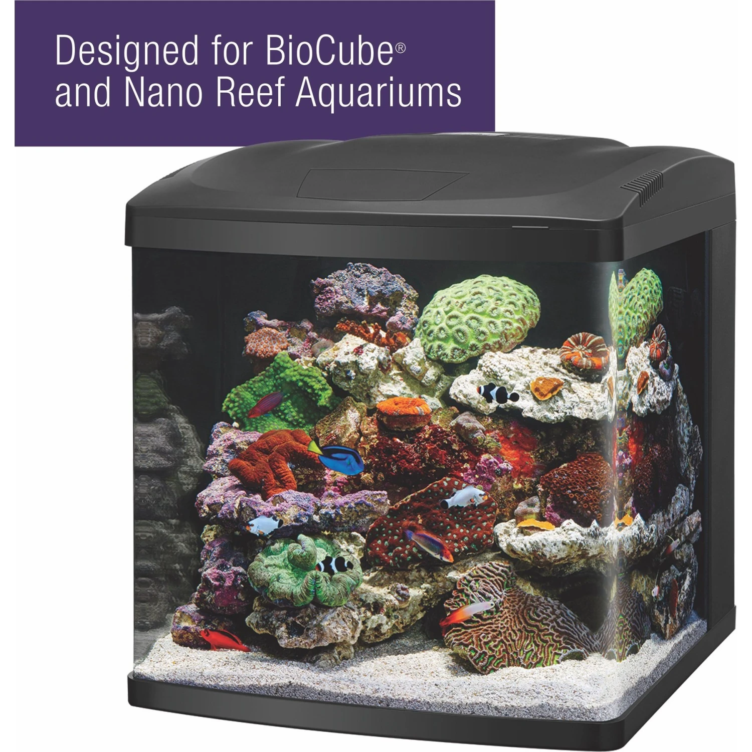 Coralife Marine PURE Water Care Bacteria Supplement, 4 Pack - Image 7