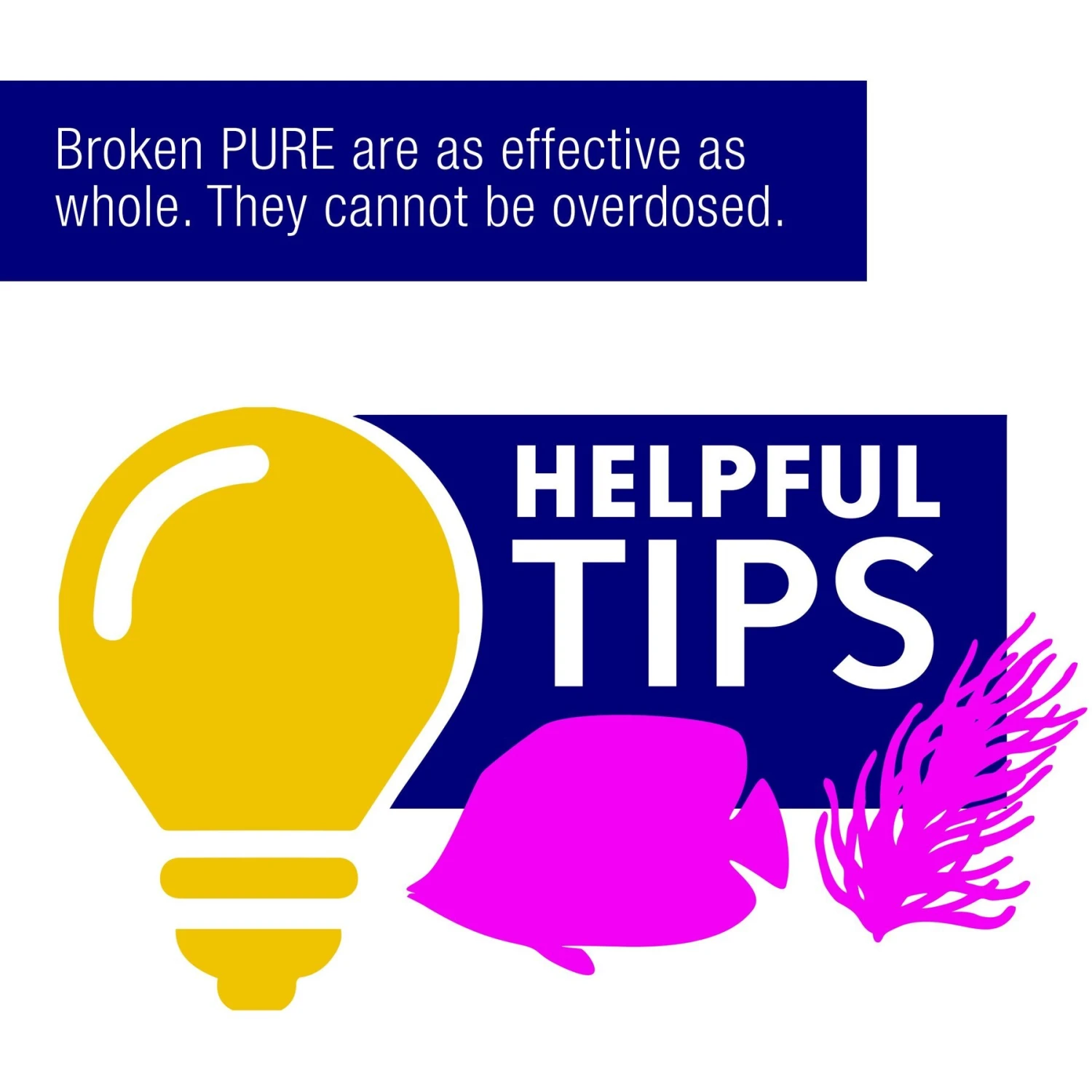 Coralife Marine PURE Water Care Bacteria Supplement, 4 Pack - Image 9